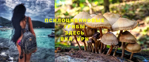 спайс Володарск